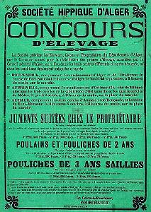 12- Affiches municipales 07
